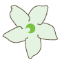 Jasmine